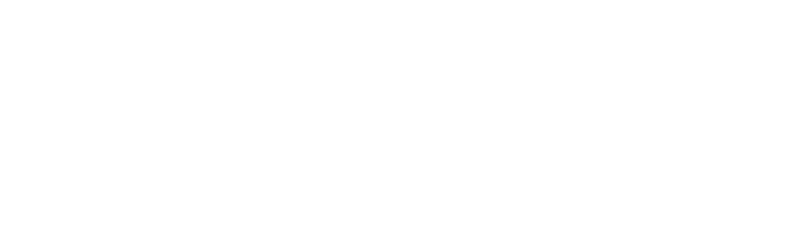 Neuro Surge Logo